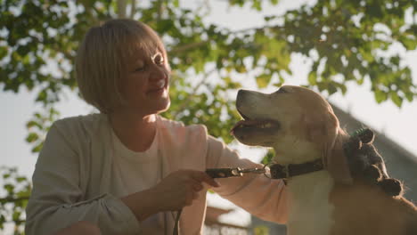 el dueño del perro en cuclillas en un campo cubierto de hierba frotando la cabeza del perro con un guante de aseo mientras sostiene la correa bajo la cálida luz del sol, sonriendo al perro feliz disfrutando de la sesión de aseo