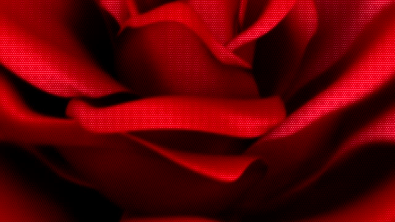 fondo animado en movimiento que muestra flores en movimiento pétalos de rosa crisantemo blanco