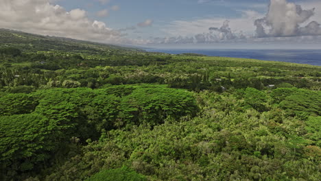 hana maui hawaii aerial v3 drone flyover hillside residential capturing dense tropical vegetations with lush foliages and farm houses on green pastures - shot with mavic 3 cine - december 2022