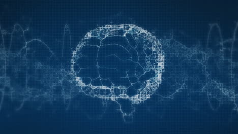 animación del cerebro humano y la cadena de adn girando sobre un fondo azul.