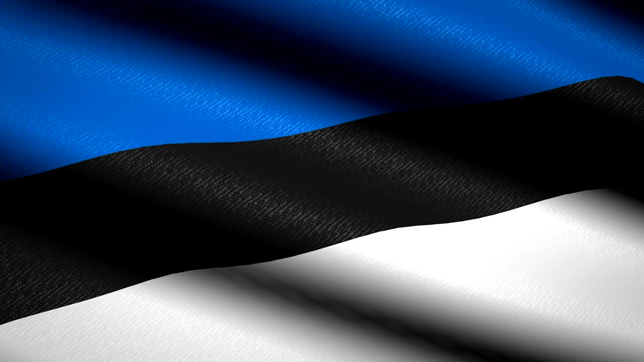 에스토니아 발을 흔들고 있는 직물 텍스처 배경, 원활한 루프 애니메이션, 풀 스크린, 느린 동작, 4k 비디오