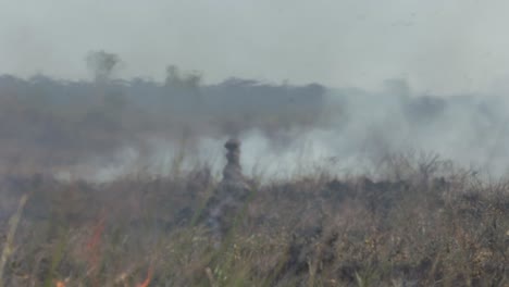 Calor-Y-Humo-De-Incendios-Forestales-En-La-Selva-Amazónica:-Calentamiento-Global,-Deforestación,-Medio-Ambiente,-Cambio-Climático,-Sequía