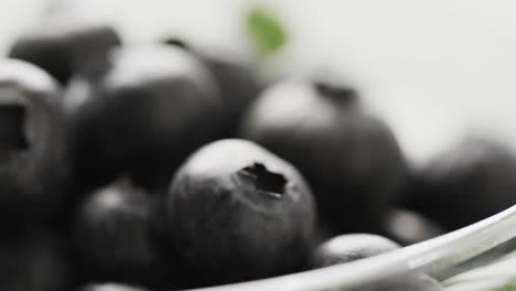 Micro-video-of-close-up-of-bowl-with-blueberries-with-copy-space