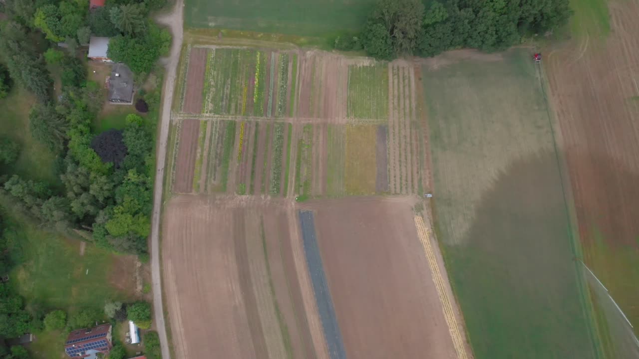 campo agrícola en el campo