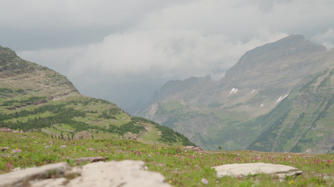 Vista montana a Logan Pass nel Montana, con vegetazione lussureggiante e cime distanti.