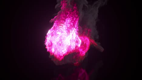 colección de quema. león de fuego. concepto de naturaleza y animales. león en carrera. animación 3d de bucle sin costuras.