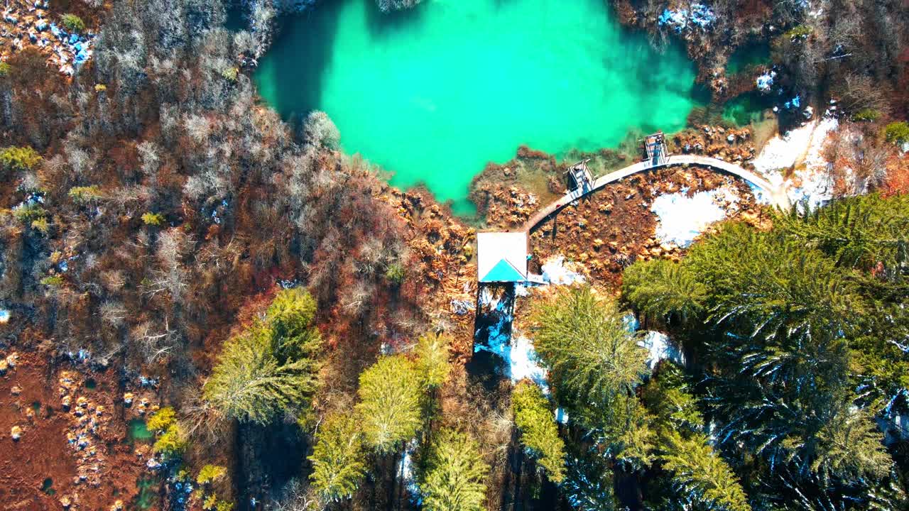 Zelenci Kaynakları'nın havadan kuşbakışı 4K drone çekimi