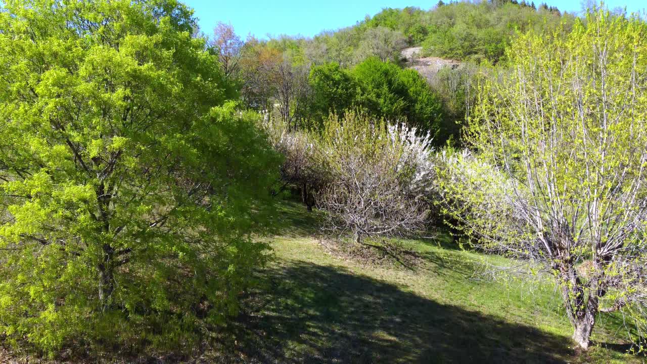 hermoso paisaje verde en la tranquila casa de huéspedes b and b l'uovo e la faina, busca, italia
