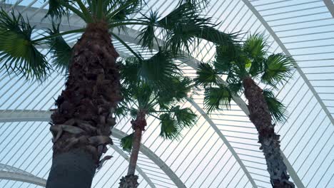 palm trees under a modern white archway