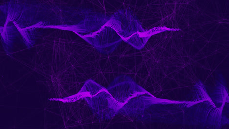animation of purple waves and network connections