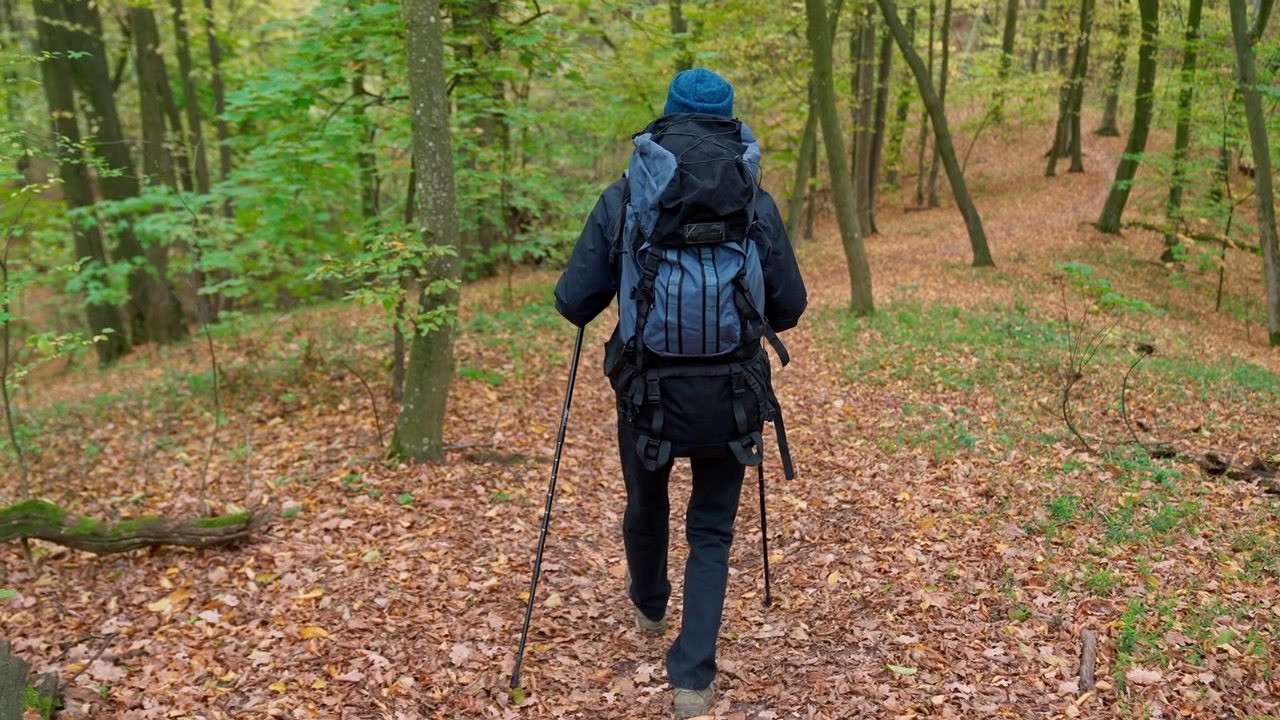 Achteraanzicht van wandelaar op een bladerrijk pad in een herfstbos