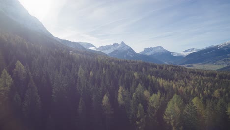 through-the-window-of-a-cable-car-gondola-above-green-trees-with-snowy-mountain-summits-of-the-alps-in-the-background