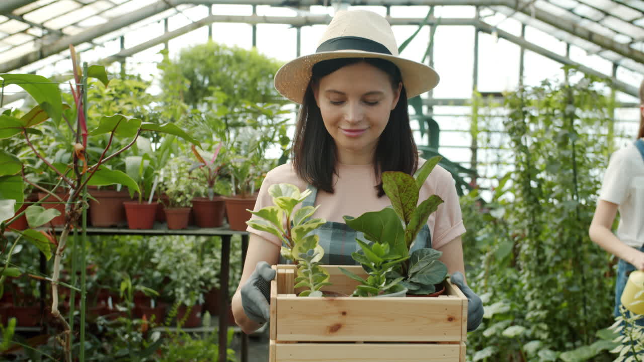 Women Gardening in Greenhouse