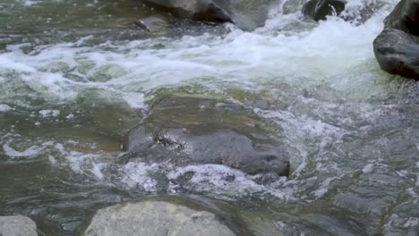 corriente de agua que fluye sobre rocas en cámara lenta con pequeñas olas durante el otoño en washington, dc