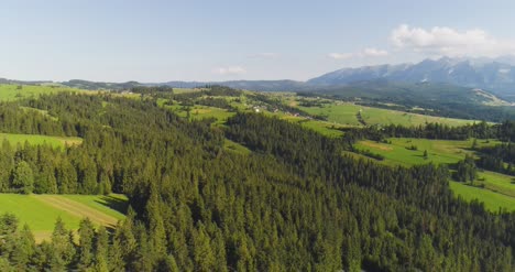 flying over the beautiful forest trees landscape panorama 27