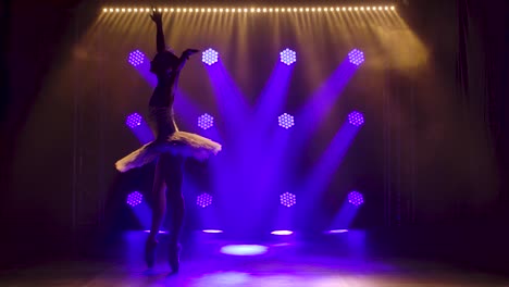 Classical ballet choreography perfoming by young b 2023 11 27 05 30 43 utc.mov | art, background, ballerina, ballet