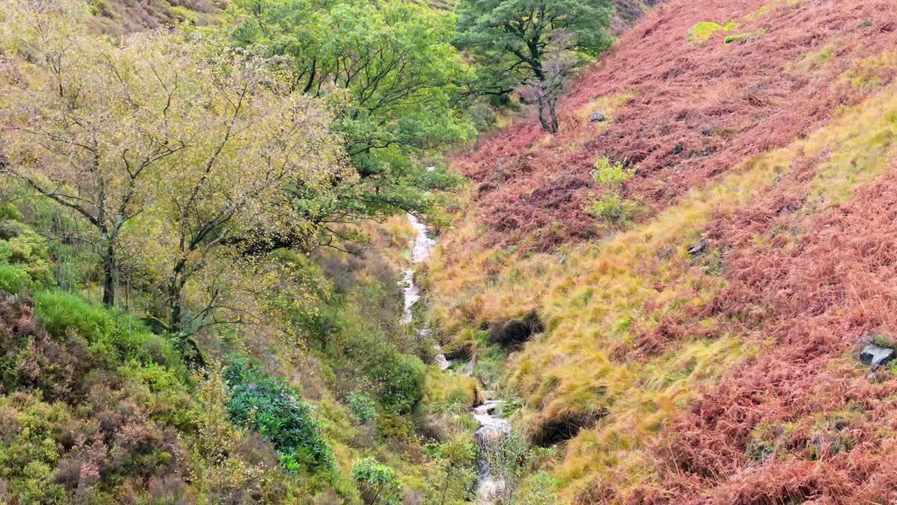 느리게 움직이는 모어랜드 하천은 페닌 모어에서 부드럽게 흐르고, 작은 폭포, 강 및 헤더 인 계곡과 함께 항공 드론 비디오