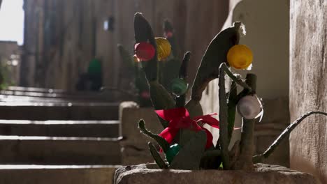 matera, italy cactus with christmas ornaments