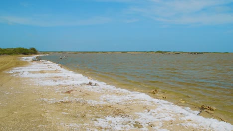 saltwater foam washed ashore in kralendijk, bonaire - medium shot