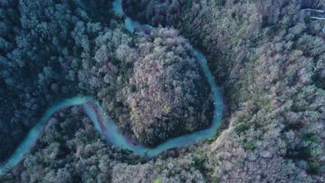 aerial view of a winding river through a forest