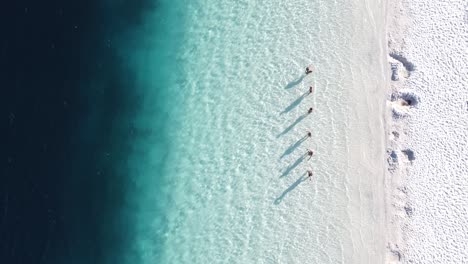 Drone-aerial-top-view-of-people-silhouettes-in-a-turquoise-lagoon-in-Fraser-Island,-Australia