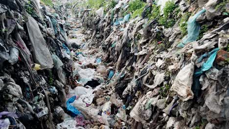 a group in the woods examines a pile of plastic waste highlighting pollution a group gathers in a serene woodland contrasting nature and human impact as they examine discarded plastic waste and discuss urgent conservation