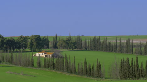 rural landscape with green fields