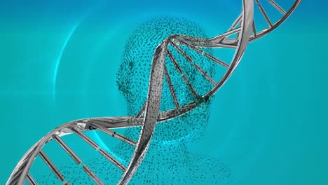 animation of dna strand over digital human