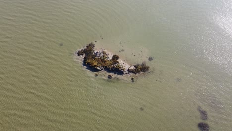 a lonely island in the middle of the medway river