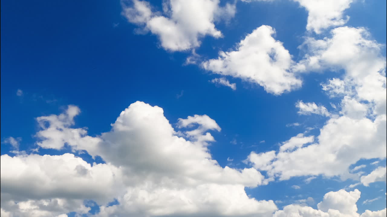 White cumulus clouds floating with the wind. Low angle view at the azure sky with moving cloudscape. Timelapse.