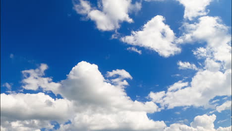 white cumulus clouds floating with the wind. low angle view at the azure sky with moving cloudscape. timelapse.
