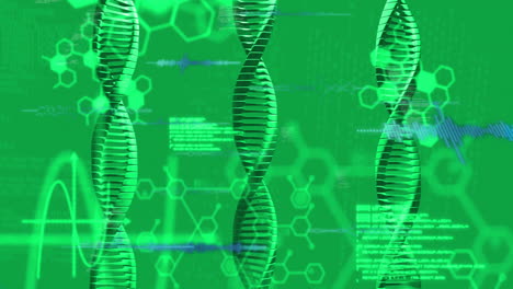 animación de procesamiento de datos digitales y cadena de adn en fondo verde