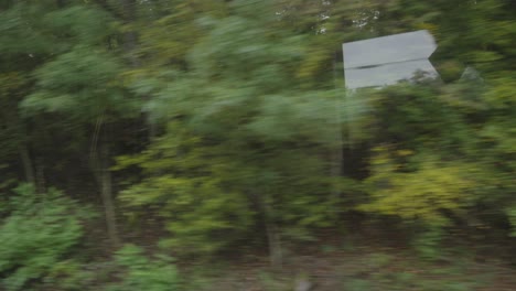 The-moving-train,-captures-the-lush-greenery-and-vibrant-vegetation-of-Germany,-offering-a-dynamic-glimpse-into-the-country's-natural-beauty-as-it-rushes-by