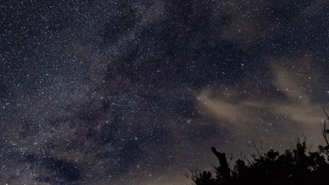 Vía-Láctea-Y-Lapso-De-Tiempo-De-Estrellas-Con-Nubes-En-Movimiento,-Aviones-En-Noche-Clara-Hasta-El-Anochecer-Con-Un-Pequeño-árbol-En-Primer-Plano