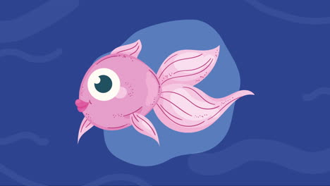 cute ballerina fish sealife animation