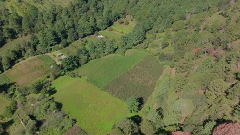 Aerial-rise-tilt-up-reveals-agricultural-fields-at-forest-base-below-popocatepetl-volcano