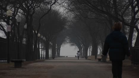 em um parque urbano com caminhos largos, um cachorro preto e dois caminhantes dão vida a uma cena invernal