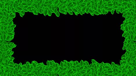 cuadros de hojas verdes gráficos de movimiento con fondo nocturno