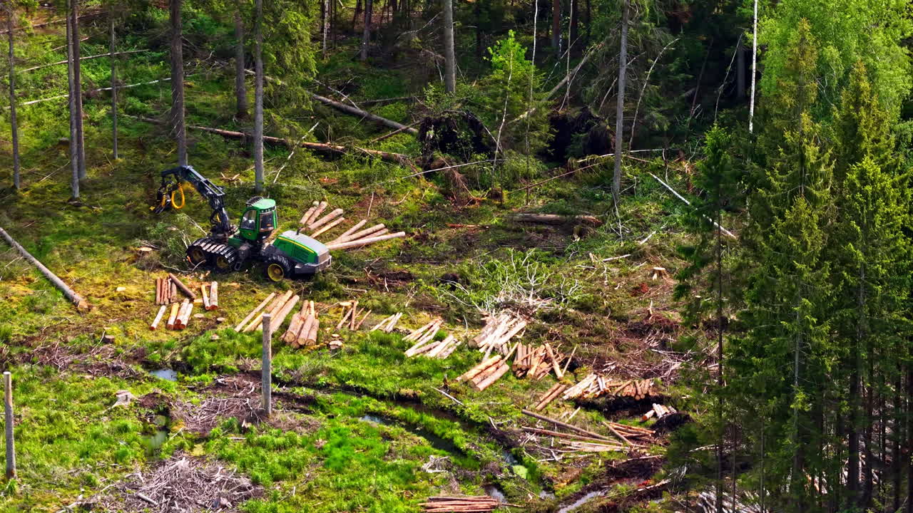 Logging machine working in forest clearing with felled tree trunks and scattered branches