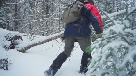 Mann-Mit-Hund-Wandert-Auf-Dem-Verschneiten-Weg,-Der-Im-Winter-Im-Wald-Von-Umgestürzten-Bäumen-Blockiert-Wird