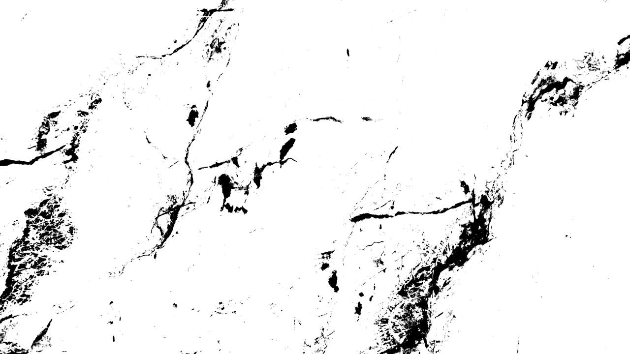 색 배경에 검은색 무, 빈티지 필름 텍스처 효과