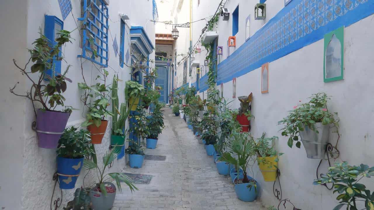 Blue painted accents and pot plants decorate old alleyway in Tangier, Morocco