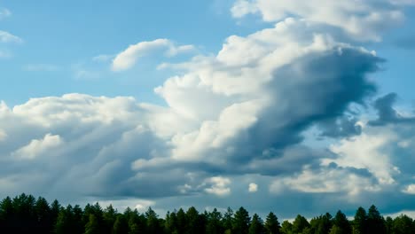 blauer himmel mit flauschigen weißen wolken und grünen bäumen im vordergrund