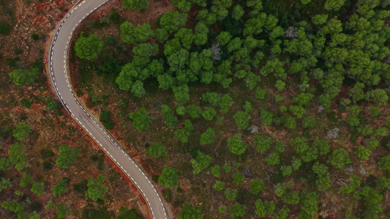Winding road through green forest area near hillside in daylight showing nature and landscape in a rural setting