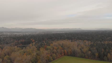 Imágenes-De-Drones-4k-De-Espeso-Bosque-Arbolado-En-Un-Entorno-Rural-De-Desarrollo-Filmado-En-Un-Día-Nublado-Y-La-Ciudad-Urbana-En-El-Fondo