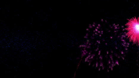 animation of happy new year text in blue with pink fireworks on black background