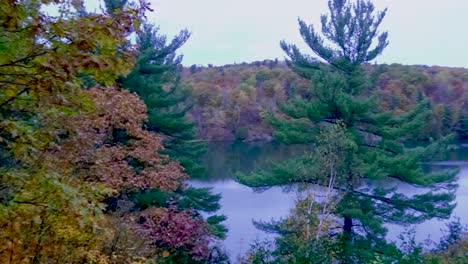 moving time lapse over a lake with trees in the late evening on a lookout with a fall forest inquebec