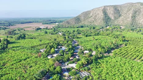 aerial forward flight showing beautiful green landscape of neiba with fields,trees and mountains in backdrop