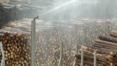 interminables filas de troncos de madera en el patio del almacén