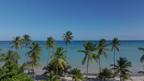 scenic footage from punta cana and the dominican republic, showcasing turquoise caribbean waters, lush jungle, white-sand beaches, and vibrant tropical nature